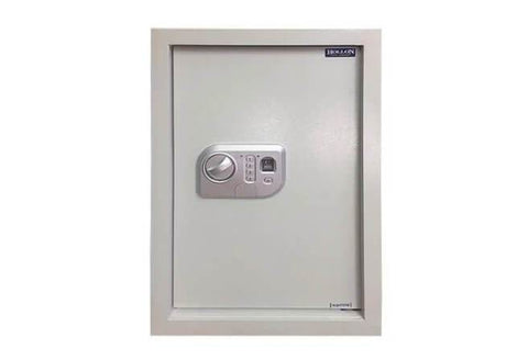 Hollon Safe Biometric Wall Safes