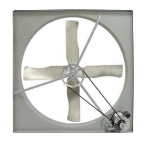 TPI 42" 230460V 3/4 HP 3PH Commercial Belt-Drive Exhaust Fan - CE42B3