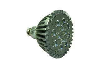 TPI Replacement Light Bulbs